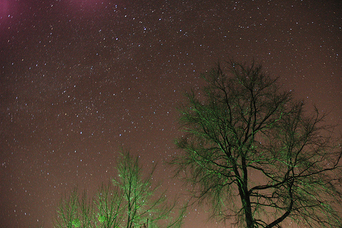 Night Sky II