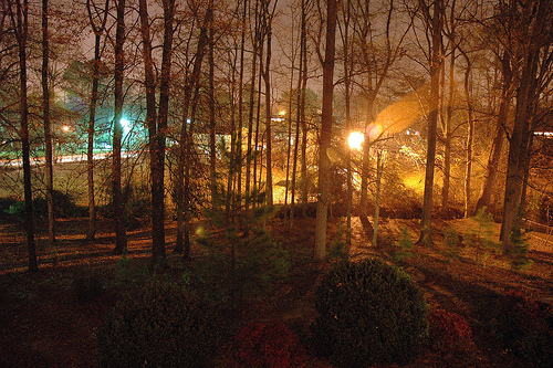 Backyard at Night
