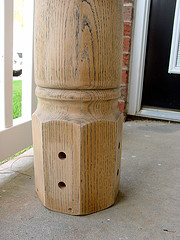 Raw Leg